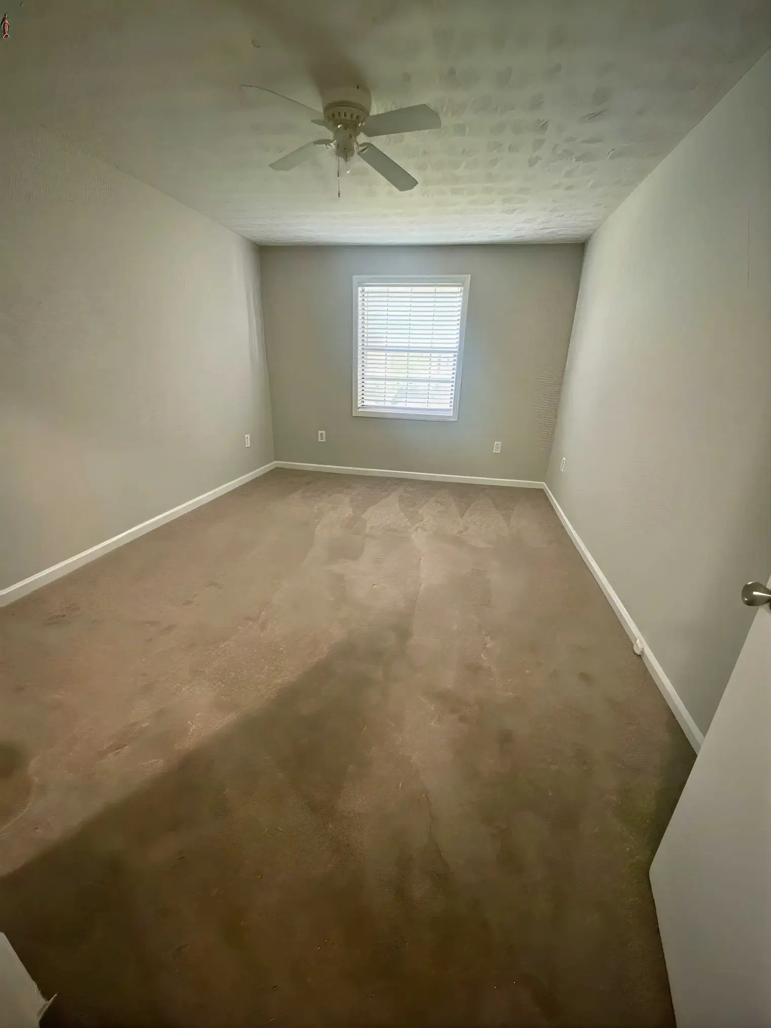 img 3205 le upscale strong light ai 30 tone enhance 30 color enhance 30 1