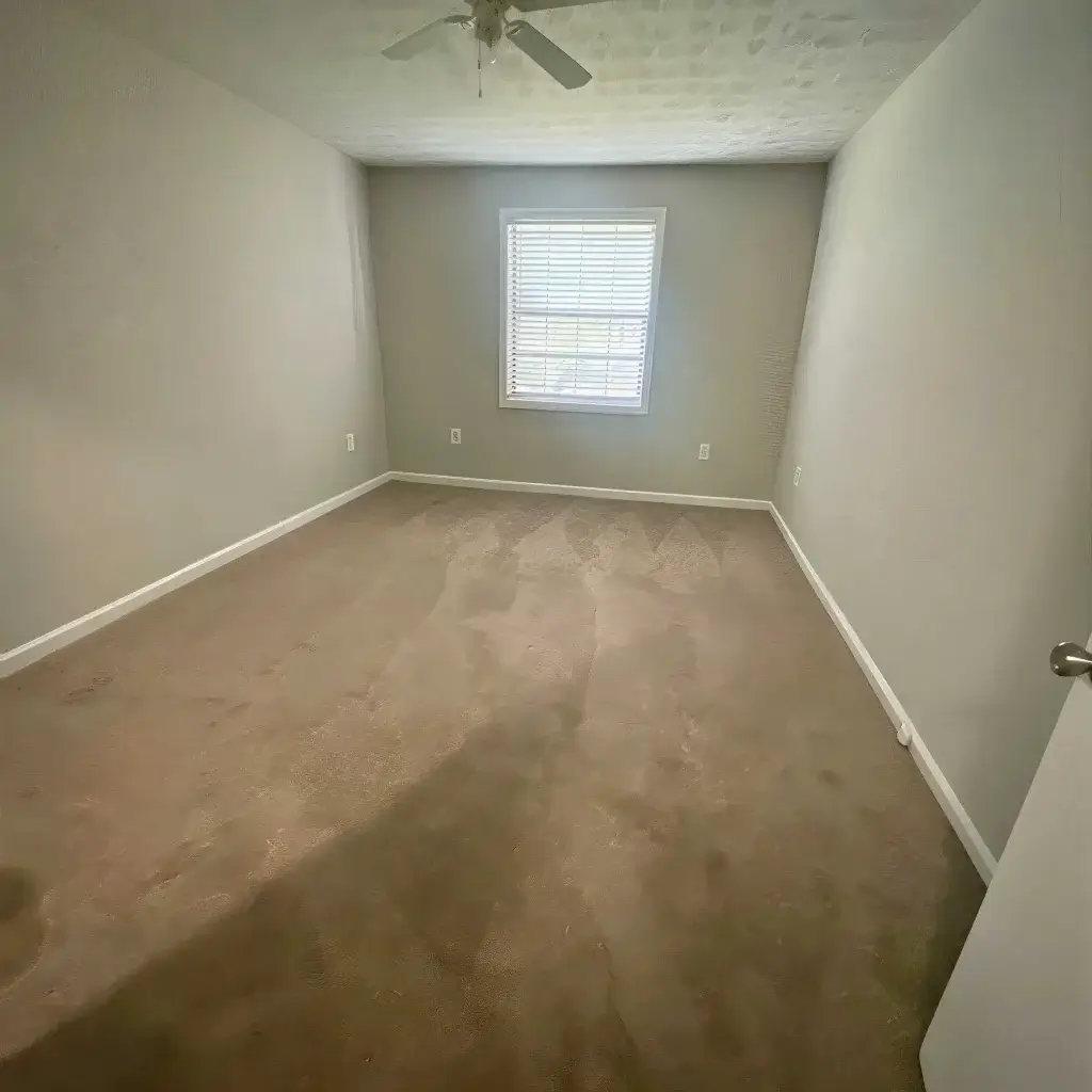 img 3205 le upscale strong light ai 30 tone enhance 30 color enhance 30